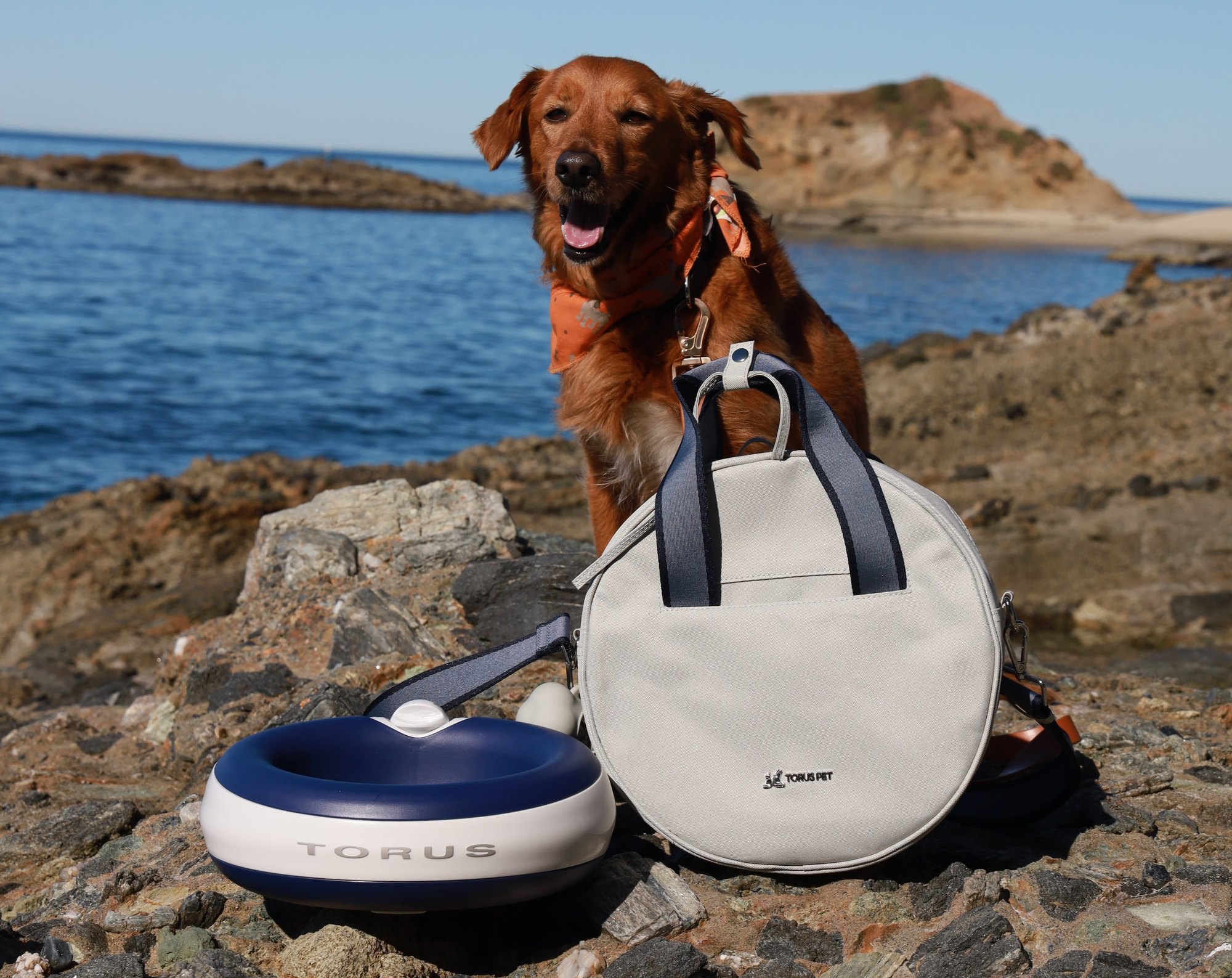 A golden retriever on coastal rocks beside a Torus hydration dispenser and travel tote bag